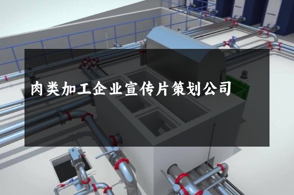 肉类加工企业宣传片策划公司