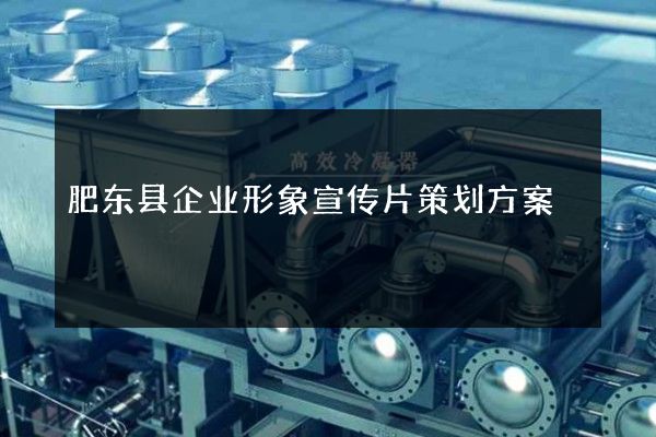 肥东县企业形象宣传片策划方案