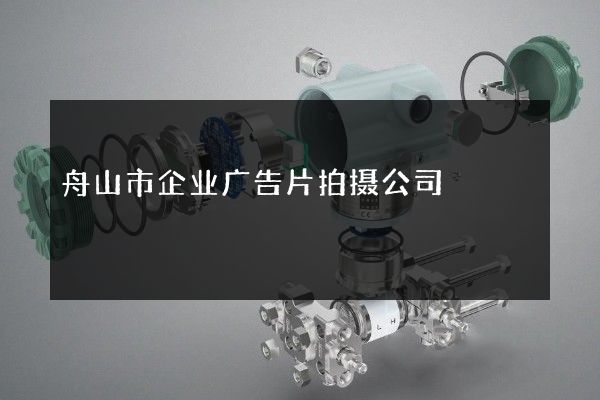 舟山市企业广告片拍摄公司