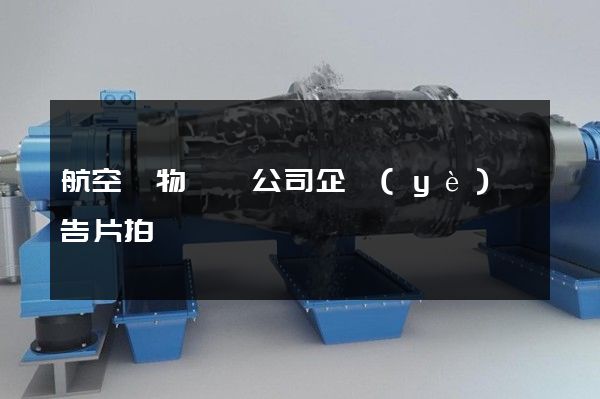 航空貨物運輸公司企業(yè)廣告片拍攝