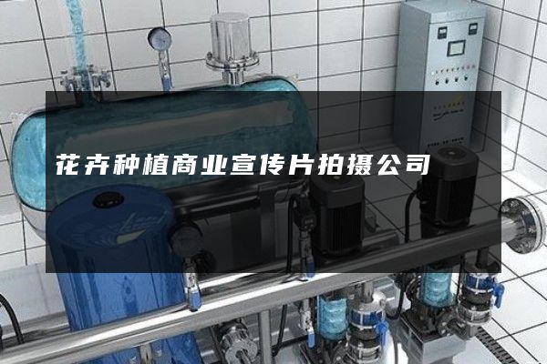 花卉种植商业宣传片拍摄公司