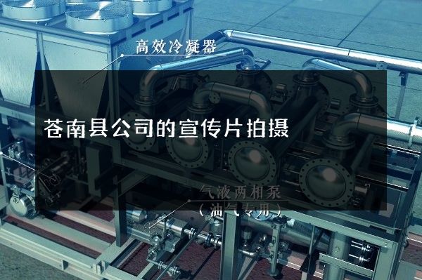 苍南县公司的宣传片拍摄