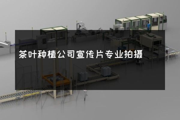 茶叶种植公司宣传片专业拍摄