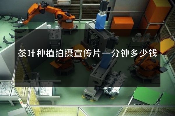 茶叶种植拍摄宣传片一分钟多少钱