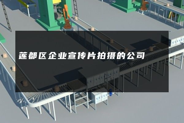 莲都区企业宣传片拍摄的公司
