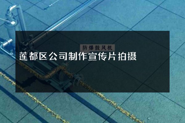 莲都区公司制作宣传片拍摄