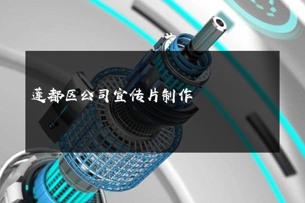 莲都区公司宣传片制作