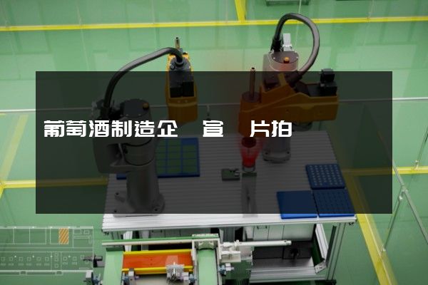 葡萄酒制造企業宣傳片拍攝 葡萄酒制造企業宣傳片拍攝