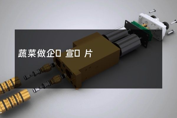 蔬菜做企業宣傳片