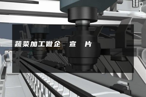 蔬菜加工做企業宣傳片