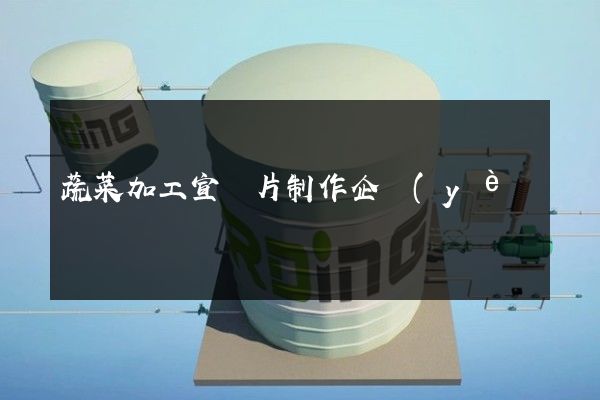 蔬菜加工宣傳片制作企業(yè)宣傳片拍攝 蔬菜加工宣傳片制作企業(yè)宣傳片拍攝