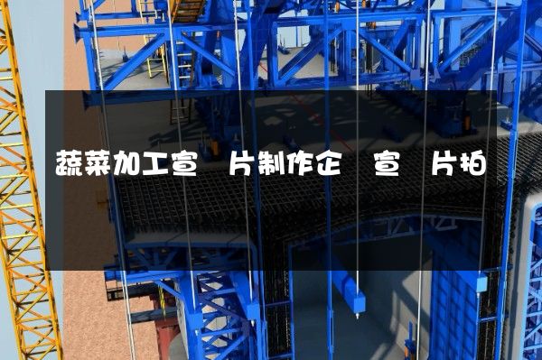 蔬菜加工宣傳片制作企業宣傳片拍攝