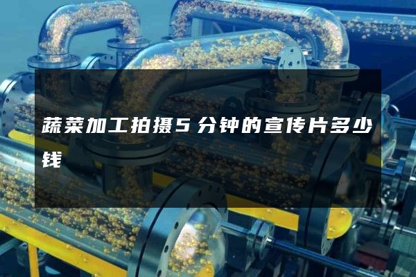 蔬菜加工拍摄5分钟的宣传片多少钱