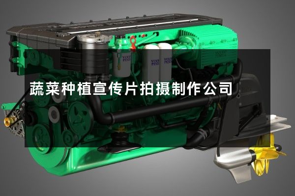 蔬菜种植宣传片拍摄制作公司