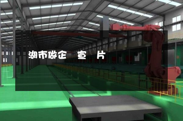 蕪湖市做企業宣傳片