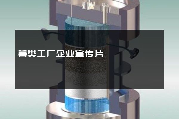 薯类工厂企业宣传片