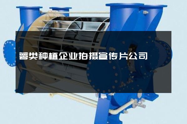薯类种植企业拍摄宣传片公司