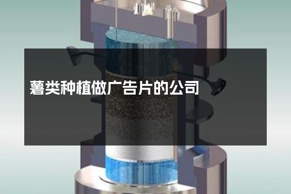 薯类种植做广告片的公司