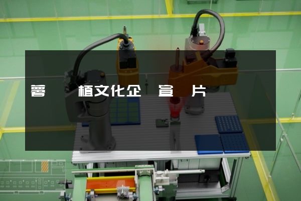 薯類種植文化企業宣傳片