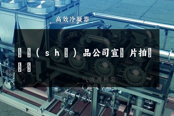 藝術(shù)品公司宣傳片拍攝報價