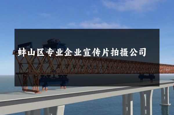 蚌山区专业企业宣传片拍摄公司