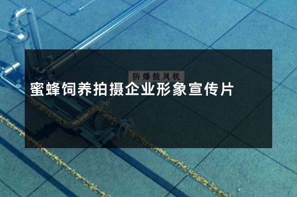 蜜蜂饲养拍摄企业形象宣传片