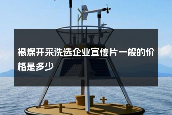 褐煤开采洗选企业宣传片一般的价格是多少