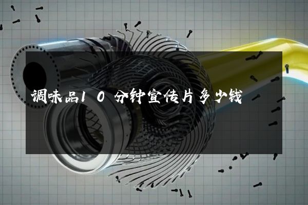 调味品10分钟宣传片多少钱
