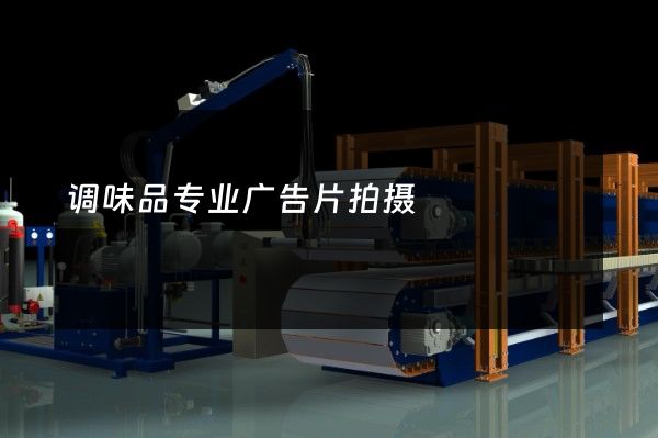 调味品专业广告片拍摄