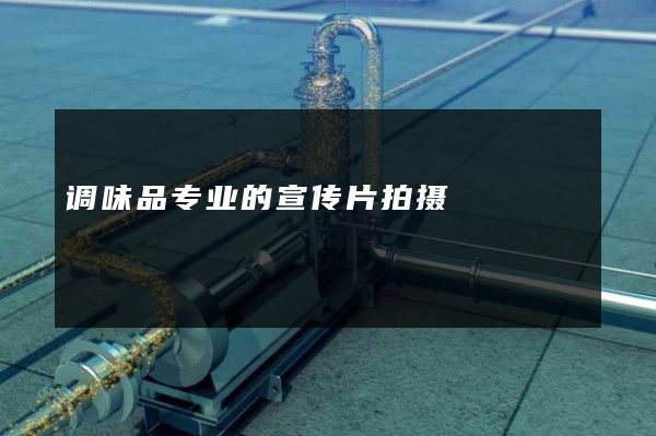 调味品专业的宣传片拍摄