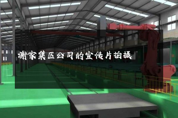 谢家集区公司的宣传片拍摄
