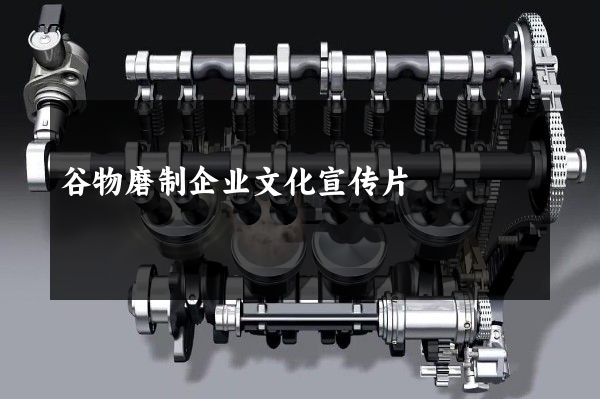 谷物磨制企业文化宣传片