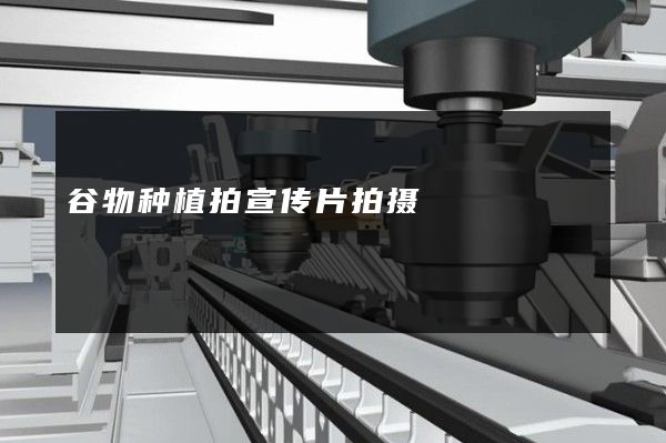 谷物种植拍宣传片拍摄