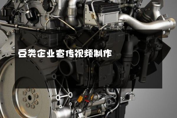 豆类企业宣传视频制作