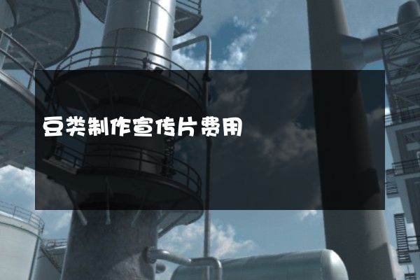 豆类制作宣传片费用
