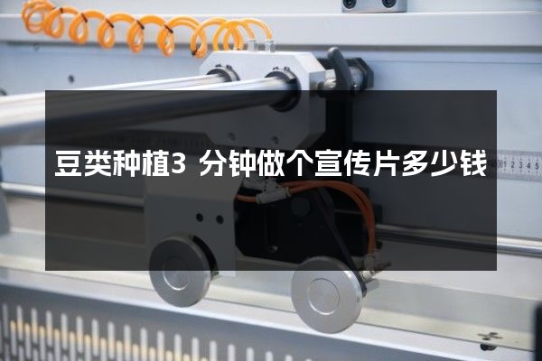 豆类种植3分钟做个宣传片多少钱
