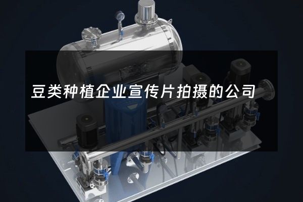 豆类种植企业宣传片拍摄的公司