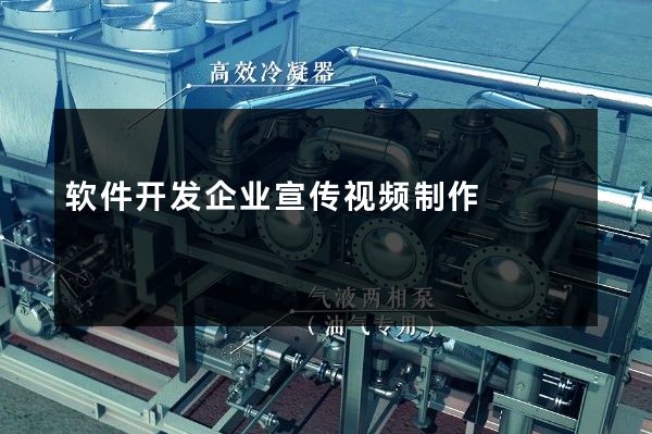 软件开发企业宣传视频制作