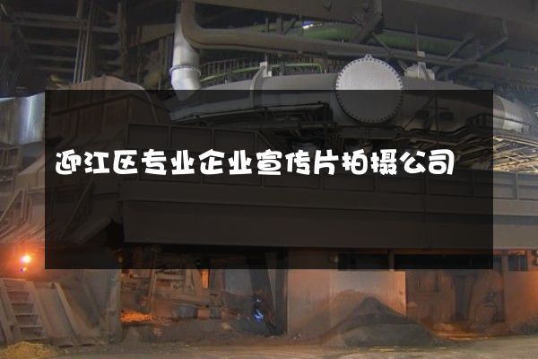 迎江区专业企业宣传片拍摄公司
