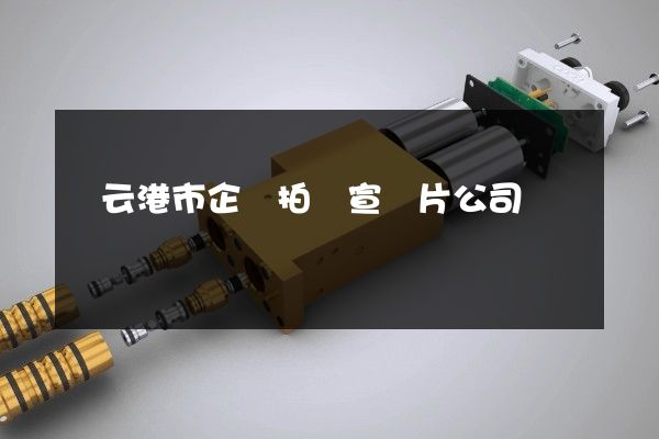 連云港市企業拍攝宣傳片公司