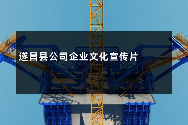 遂昌县公司企业文化宣传片
