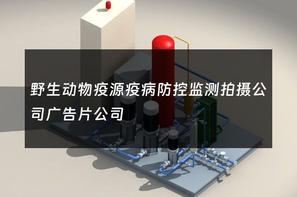 野生动物疫源疫病防控监测拍摄公司广告片公司