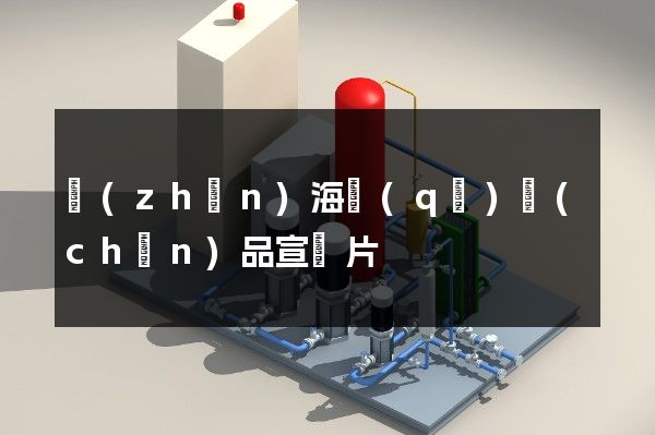 鎮(zhèn)海區(qū)產(chǎn)品宣傳片