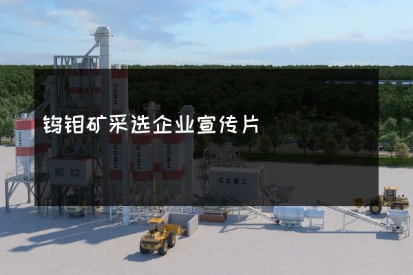 钨钼矿采选企业宣传片