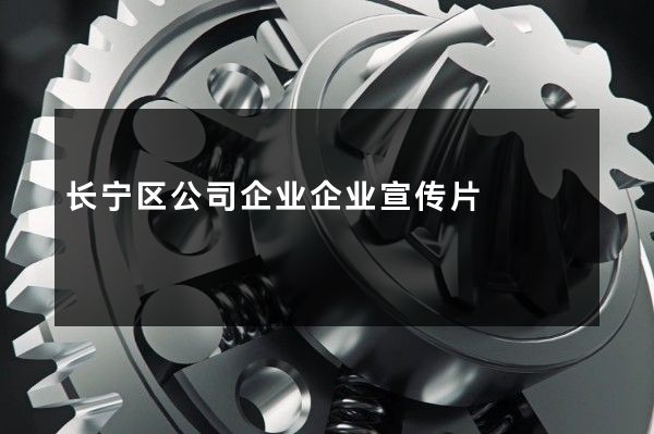 长宁区公司企业企业宣传片