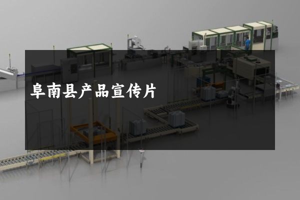 阜南县产品宣传片