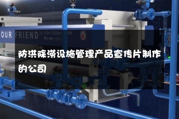 防洪除涝设施管理产品宣传片制作的公司