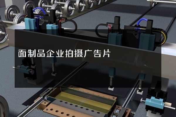 面制品企业拍摄广告片