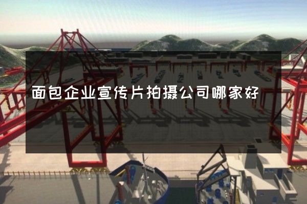 面包企业宣传片拍摄公司哪家好