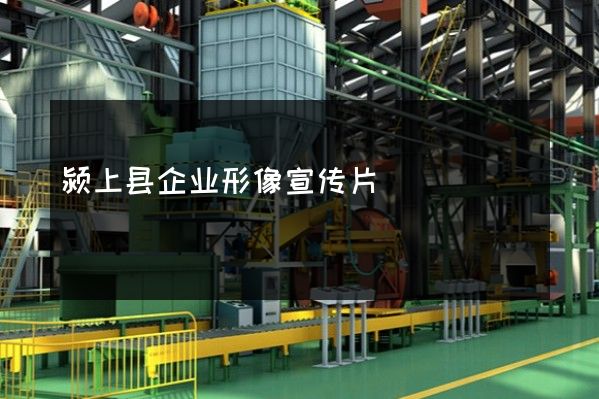 颍上县企业形像宣传片